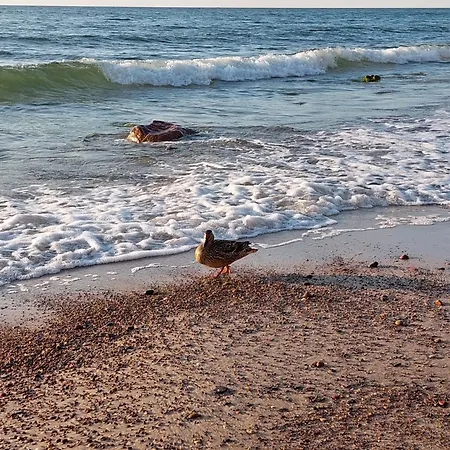 Debina Lounge 20 Apartment Debina (Ustka)